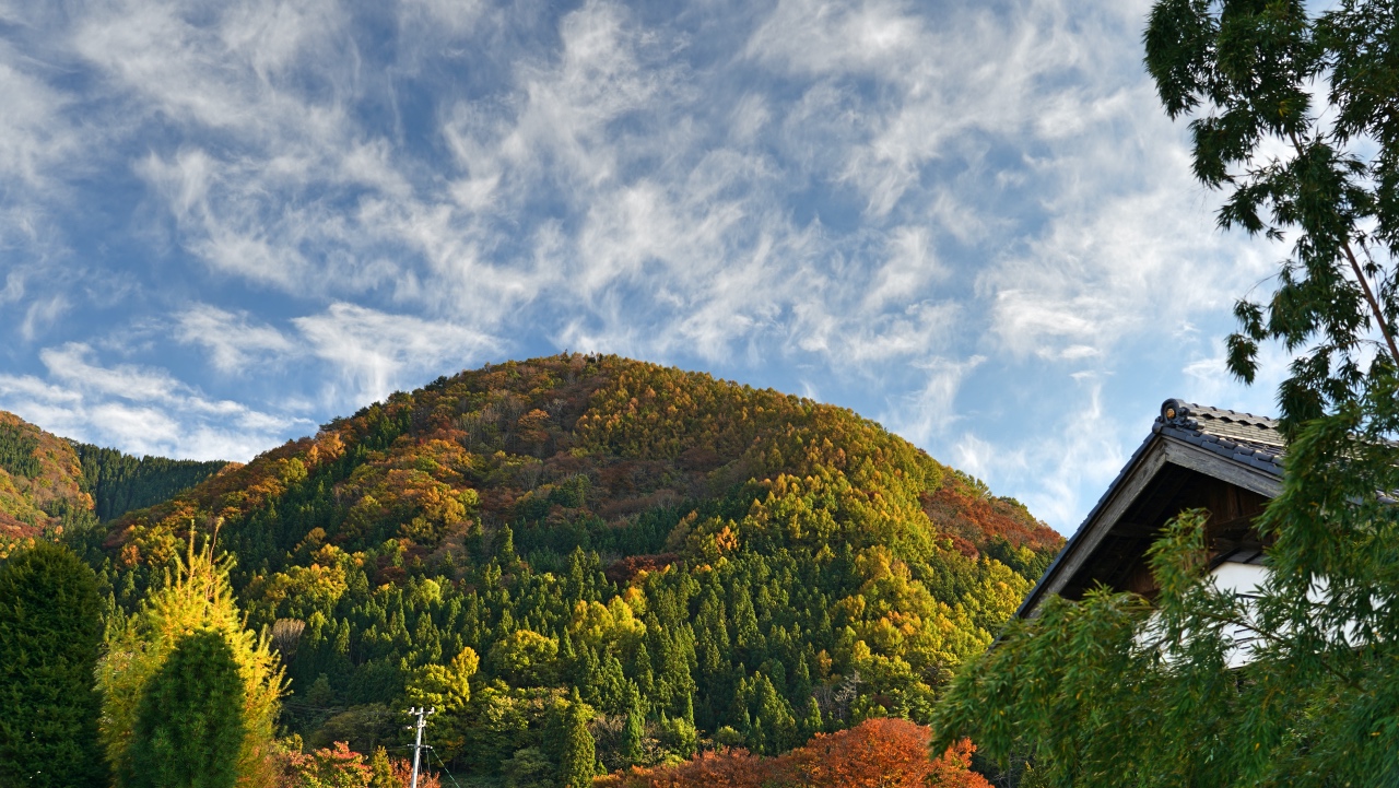 風景